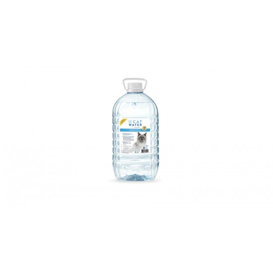 Cat Water eau formule urinaire 4l   